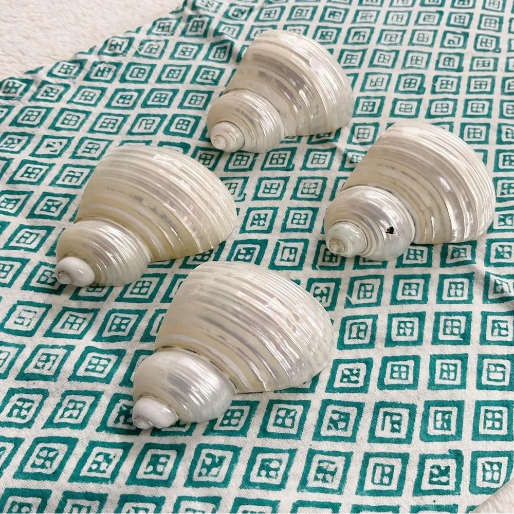 Vintage Shell Napkin Rings Set of 4 Coastal Beach Decor 1970s Seashell